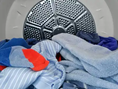 Dreamstime Xxl 15259261 1